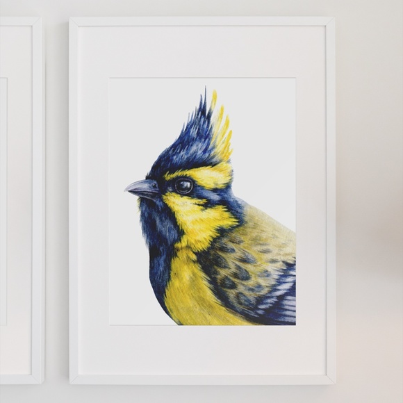 Watercolor Wall Art Himalayan Tit Bird Print Poster Unframed - Picture 5 of 9